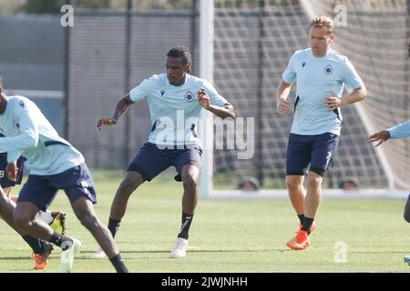 Brügge, Belgien, 06. September 2022, Dedryck Boyata des Clubs und Ruud Vormer im Bild während einer Trainingseinheit des belgischen Fußballteams Club Brugge KV, Dienstag, 06. September 2022 in Brügge, Zur Vorbereitung des morgigen Spiels gegen den Deutschen Bayer 04 Leverkusen am Eröffnungstag der UEFA Champions League Gruppenphase. BELGA FOTO BRUNO FAHY Stockfoto