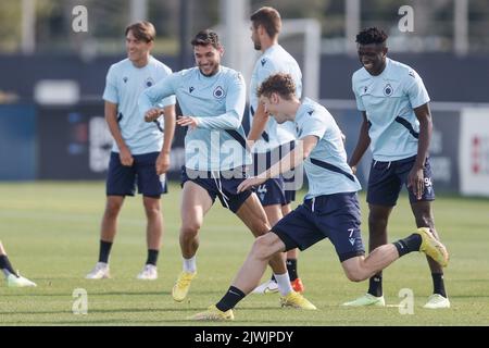 Brügge, Belgien, 06. September 2022, Roman Yaremchuk des Clubs und Andreas Skov Olsen des Clubs während einer Trainingseinheit des belgischen Fußballteams Club Brügge KV, Dienstag, 06. September 2022 in Brügge, Zur Vorbereitung des morgigen Spiels gegen den Deutschen Bayer 04 Leverkusen am Eröffnungstag der UEFA Champions League Gruppenphase. BELGA FOTO BRUNO FAHY Stockfoto