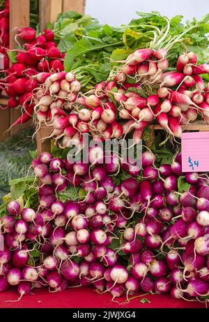 Französisches Frühstück Radieschen in Büschen auf einem lokalen Bauernmarkt Stockfoto