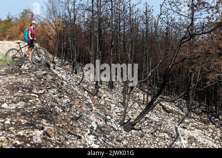 Eine Radfahrerin, die den verbrannten Wald nach dem größten Waldbrand in der Geschichte Sloweniens, Europa, betrachtet Stockfoto