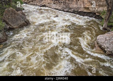 Shell Creek Stromschnellen, Shell Canyon, Bighorn Mountains, Bighorn National Forest, Wyoming, USA Stockfoto