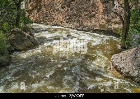 Shell Creek Stromschnellen, Shell Canyon, Bighorn Mountains, Bighorn National Forest, Wyoming, USA Stockfoto