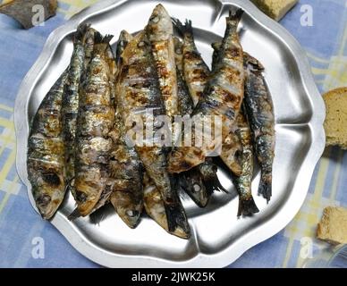 Gegrillte Sardinen auf einer Metallplatte Stockfoto