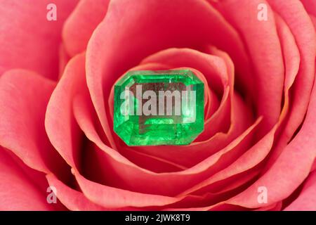 Natürlicher grüner Smaragd-Edelstein auf roter Rosenblüte Stockfoto
