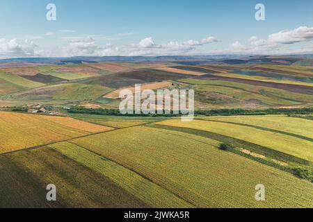 Luftbild ländliche Landschaft mit gelb geflickten landwirtschaftlichen Feldern und blauen Himmel mit weißen Wolken.Landwirtschaftliche Weizenfeld in ländlichen Raum, Europa Stockfoto