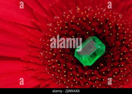 Natürlicher grüner Smaragd-Edelstein auf roter Rosenblüte Stockfoto