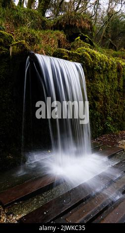 Waterfall, Kennall Ve, Cornwall, Großbritannien - John Gollop Stockfoto