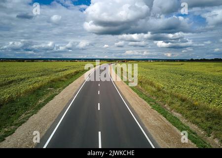 Luftaufnahme einer leeren Intercity-Straße zwischen grünen landwirtschaftlichen Feldern. Draufsicht von der Drohne der Autobahn Stockfoto