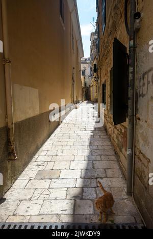 Enge Straße in Korfu, Ionische Inseln, Griechenland Stockfoto