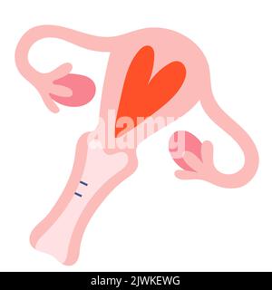 Uterusdarstellung, Menstruationszyklus, niedliche Doodle-Kunst, handgezeichnete farbige Illustration des weiblichen Fortpflanzungssystems, Uterus, Eierstöcken und Gebärmutter Stock Vektor