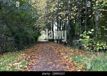 Canal Walk, Kilkenny, Irland Stockfoto