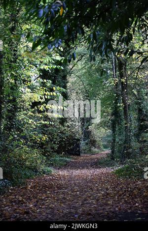 Canal Walk, Kilkenny, Irland Stockfoto