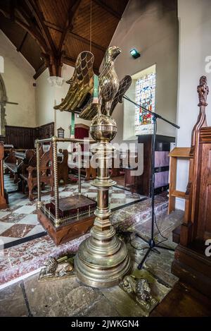 Das Rednerpult an der Kathedralkirche von St. Fachtnasin Rosscarbery, West Cork, Irland. Stockfoto