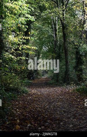 Canal Walk, Kilkenny, Irland Stockfoto