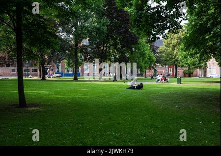 Groningen, Niederlande, 07 20 2022 - Fassade und grüner Rasen des Martinikerkhofs Stockfoto