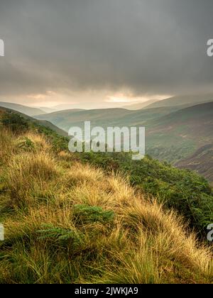 Olympus Digital Camera Credit: gary telford/Alamy Live News Stockfoto