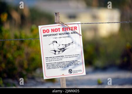 Schild mit Warnung über Nistgebiet von Seevögeln am Strand mit kleinen Sanddünen und grasbewachsenen Vegetation an warmen Sommertagen. Stockfoto