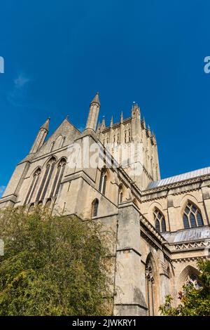 Wells Cathedral, Wells, Somerset, England, UK. Stockfoto