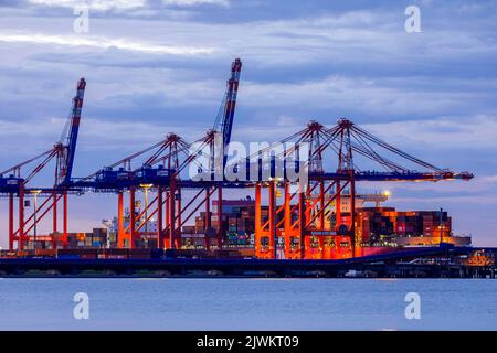 Jade-Weser-Port, Containerterminal in Wilhelmshaven, Umschlag eines großen Containerschiffes Stockfoto