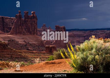 Prince's Plume Wildblumen blühen vor den drei Klatsch- und Schafsfelsen mit einem Sturm im Arches National Park, Utah. Stockfoto