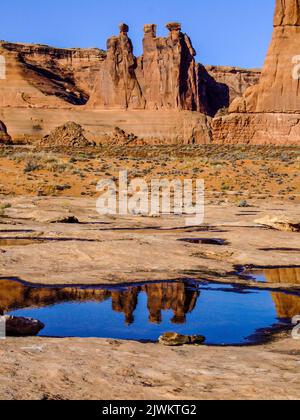 Die drei Gerüchte spiegeln sich in einem kurzlebigen Regenwasserpool im Abschnitt Courthouse Towers im Arches National Park, Moab, Utah. Stockfoto