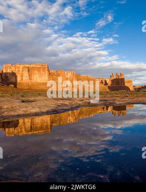 Die drei Gerüchte spiegeln sich in einem kurzlebigen Regenwasserpool im Abschnitt Courthouse Towers im Arches National Park, Moab, Utah. Stockfoto