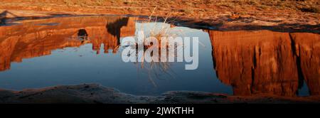 Die drei Gerüchte spiegeln sich in einem kurzlebigen Regenwasserpool im Abschnitt Courthouse Towers im Arches National Park, Moab, Utah. Stockfoto