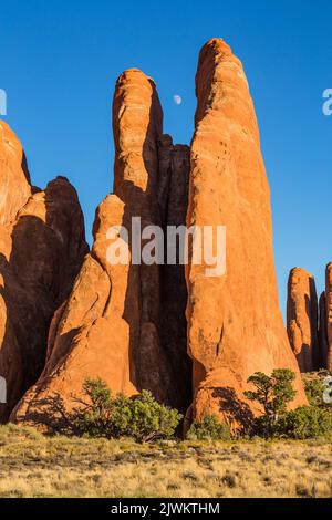 Mondaufgang über Entrada-Sandsteinflossen im Devil's Garden-Bereich des Arches National Park, Moab, Utah. Stockfoto