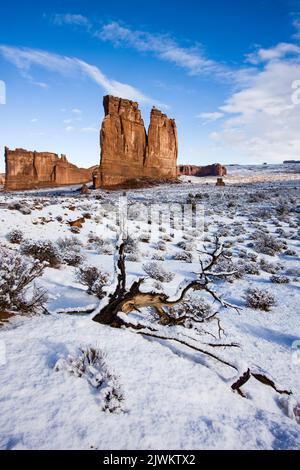 Die Orgel, ein Sandsteinmonolith in den Courthouse Towers, mit Schnee im Winter. Arches National Park, Moab, Utah. Vorne ist ein toter Utah Juniper tre Stockfoto