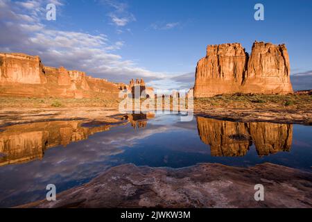 Die drei Gerüchte und die Orgel spiegeln sich in einem vergänglichen Regenwasserbecken im Arches National Park, Moab, Utah. Abschnitt „Courthouse Towers“. Stockfoto