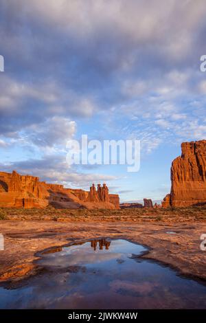 Die drei Gerüchte spiegelten sich in einem kurzlebigen Regenwasserbecken im Arches National Park, Moab, Utah, wider. Abschnitt „Courthouse Towers“. Stockfoto