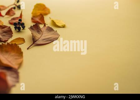 Herbstkomposition. Rahmen aus herbstlich getrockneten Blättern auf weißem Hintergrund. Platz für Text kopieren. Selektiver Fokus. Stockfoto