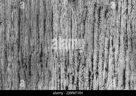 Alte graue Holzoberfläche, detaillierte Hintergrund Foto Textur Stockfoto