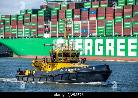 Europoort, Hafen von Rotterdam, Hafen Schlepper, Bowser, vor Euromax Container Terminal, Niederlande, Stockfoto