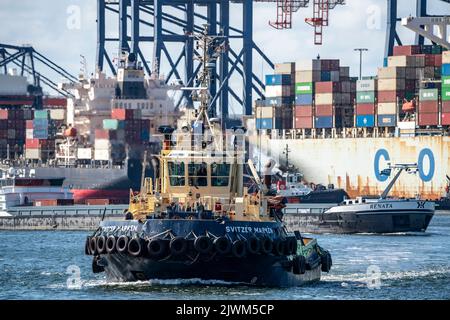 Europoort, Hafen von Rotterdam, Hafen Schlepper, Bowser, vor Euromax Container Terminal, Niederlande, Stockfoto