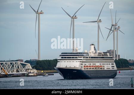 Schiffsverkehr auf der Maas, Höhe Hoek van Holland, Kreuzschiff Zaandam, Holland America Lijn, Abfahrt, Stockfoto
