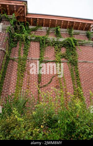 Live Oak, Florida in der Nähe des Suwannee River in North Florida. Hier ist das historische Live Oak Postamt, das 106 Jahre alt ist und jetzt zum Verkauf steht. Stockfoto