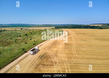 Luftaufnahme eines LKW-Lastwagens auf unbefestigten Straßen zwischen landwirtschaftlichen Weizenfeldern. Transport des Getreides nach der Ernte durch den Mähdrescher Stockfoto