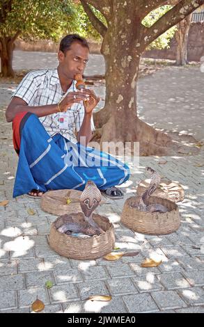 Nicht identifizierter Schlangenbeschwörer zeigt seine Fähigkeiten mit Kobras für Touristen auf der Straße in Kandy, Sri Lanka Stockfoto