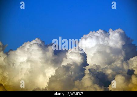 Weiße, flauschige Cumulonimbus-Wolken bilden sich vor dem Gewitter am sommerblauen Himmel. Wechselndes stürmisches Wolkenlandwetter Stockfoto