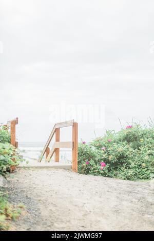 Pfad zum Strand, umgeben von üppigen Blumen in Cannon Beach. Stockfoto