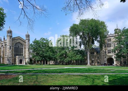 Fernansicht des College-Campus mit Rasen und Bäumen vor gotischen Gebäuden Stockfoto