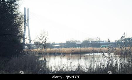 Blick auf die Millennium-Brücke in Wrocław. Stockfoto