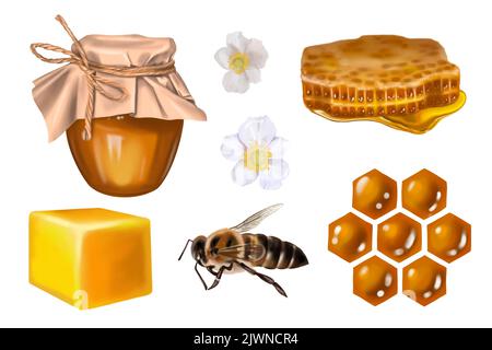Aquarellsatz. Honig, Bienen, Wildblumen, Honiglöffel, Honiggläser. Illustration der Honigsammlung Stockfoto