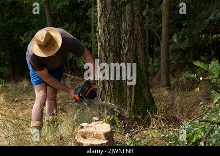 Holzfällerarbeiter, der an einem Sommertag mit einer Kettensäge Brennholz-Holzbaum im Wald schneidet. Nahaufnahme, selektiver Fokus Stockfoto
