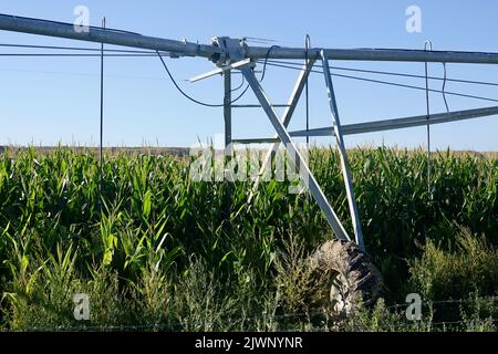 Nahaufnahme der Bewässerungsausrüstung auf dem Bauernhof Stockfoto