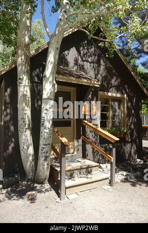 see Hütte im Wald an einem Sommertag Stockfoto