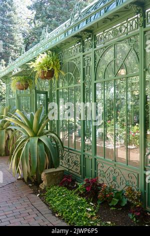 Vintage Glas Gewächshaus im botanischen Garten Stockfoto