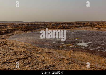 Gaet'ale Pond in der Danakil-Depression, Äthiopien. Hypersaliner See mit sprudelndem Gas. Stockfoto