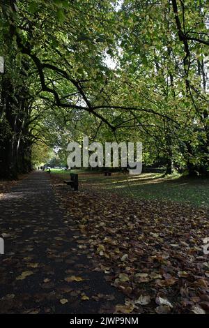 Canal Walk, Kilkenny, Irland Stockfoto